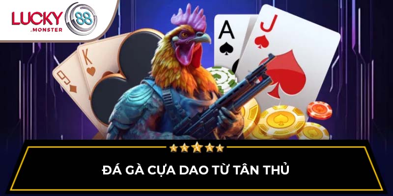 Đá gà cựa dao từ tân thủ