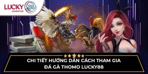 Đá gà thomo Lucky88