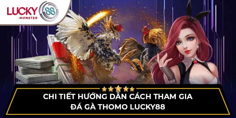 Đá gà thomo Lucky88