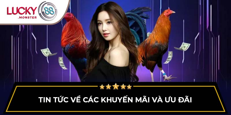 Tin tức về các khuyến mãi và ưu đãi