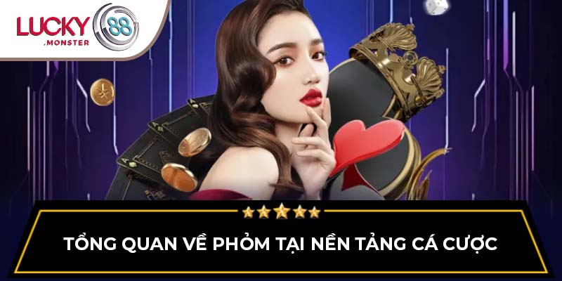 Tổng quan về phỏm tại nền tảng cá cược