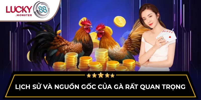 Lịch sử và nguồn gốc của gà rất quan trọng