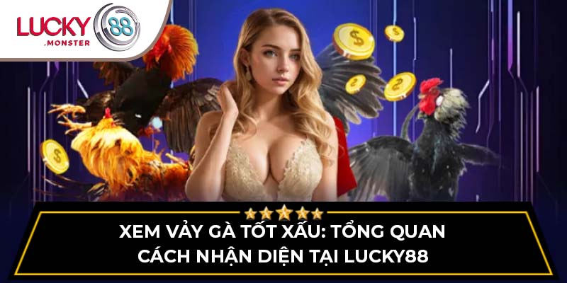 xem vảy gà tốt xấu